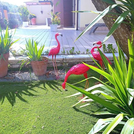 Casa Giardino Apartment San Benedetto del Tronto Exterior photo