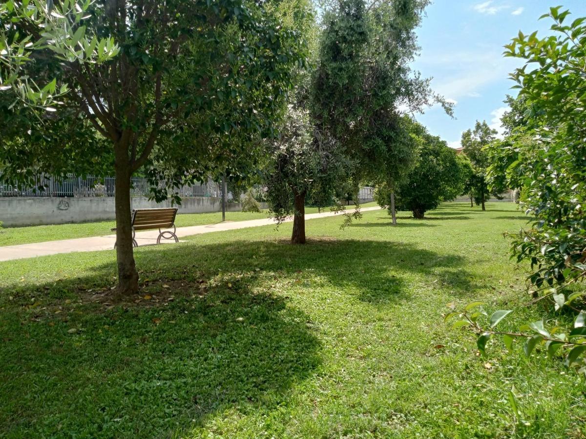 Casa Giardino Apartment San Benedetto del Tronto Exterior photo